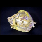 Sand's Slipper 8x10x6 in.jpg